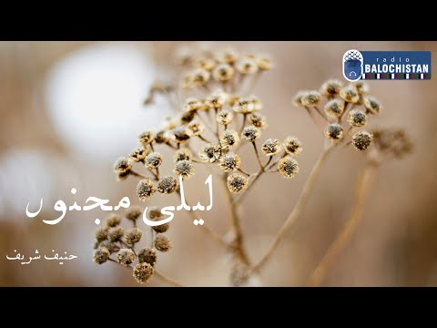 Lyla Majnoo | Dr Haneef Shareef