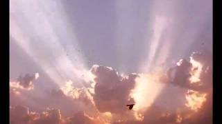 The Master's Eyes Van Morrison