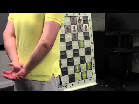 Winning Material through Tactics | Chess for Beginners - GM Ronen Har-Zvi