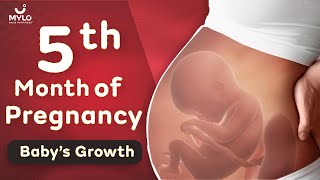 5th Month Of Pregnancy | 5th Month Of Pregnancy Baby Movement | Mylo Family