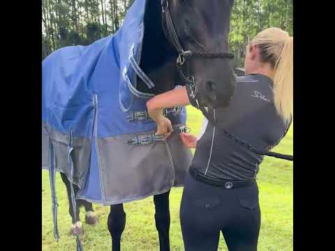 Delzani Savannah Neck Combo horse rug video – 600D ripstop outer, 150g polyfill, fit and coverage highlights
