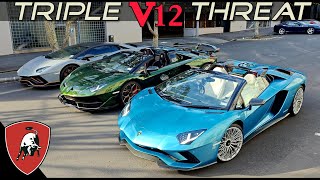 Auckland Wakes Up to V12 THUNDER | Supercars of New Zealand 🇮🇹 🇳🇿