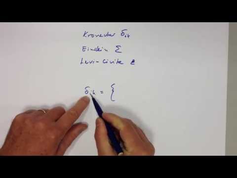 *** Kronecker, Einstein, Levi Civita, audience question