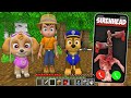 What if Paw Patrul Found SirenHead at 3:00 AM in minecraft By Scooby Craft Gameplay Animations