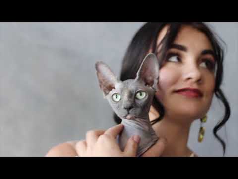 Katjie van die baan gestileerde fotosessie