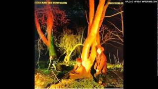 Echo & The Bunnymen- Read it in Books