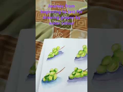 Journey from beginning to last to draw a perfect grape through water colour #fruit