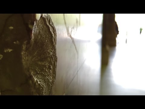 Sydney Trains Vlog 631: Central's Historic Bullet Hole