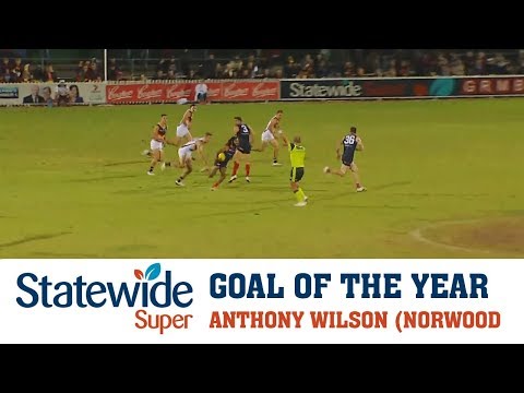 2017 Statewide Super Goal of the Year