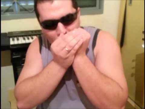 Toque gaita em 1 aula