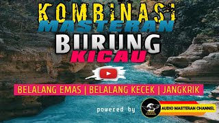 Download lagu KOMBINASI MASTERAN : BELALANG Emas | BELALANG Kecek | JANGKRIK [BACKSound Gemericik AIR] mp3