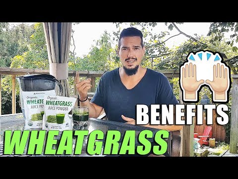 Wheatgrass Benefits for Healthy Living! Wheat Grass Juice Powder Video
