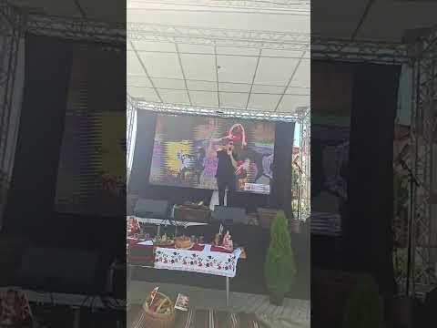 Damjan Dimevski-Za bratot svadba pravime(Nastan od Niva do Trpeza)