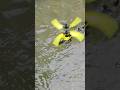 Can The Rc Helicopter Fly Underwater Shorts Experiment