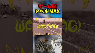 【実写】ゲーム脳レベルMAX【モンスターハンター】