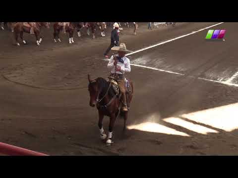 DLM277 010220 Bloque 1   4 I Caladero Futurity Triple Corona Fernando Rios RSC Tina