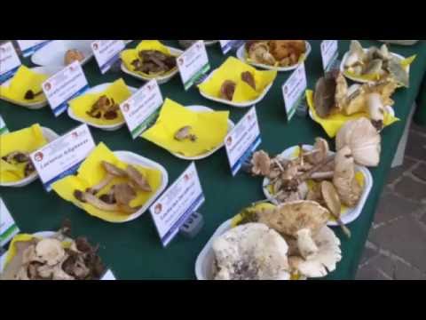 Alla Rocca di Minozzo...