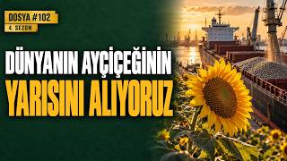 Ayçiçeği: Dünyada Satılan Tohumun Yarısını Türkiye Alıyor — Bir Şişe Yağın Gerçe