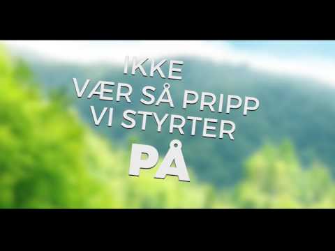 Bumfuzzle 2017 - Technosnaus, Gutta