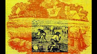 Simon Nicol &amp; the Albion Country Band - Nobody&#39;s Wedding