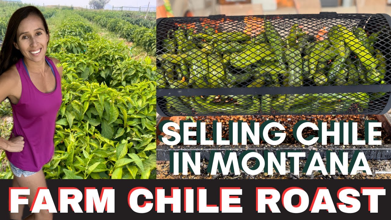 Chile Roast Festival