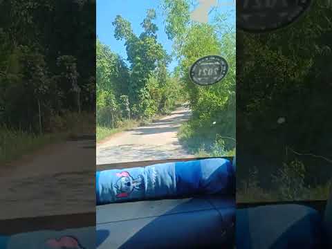 little Baguio blind curve #U.R#tourguidelife