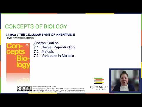 OpenStax Concepts of Biology Chapter 7 Getting Started