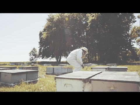 Darrel Rufer of Rufer Apiaries