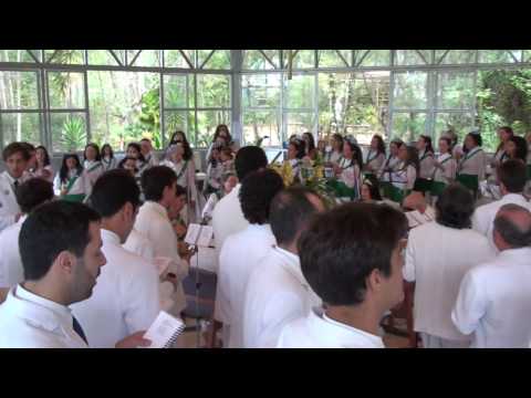 DOU VIVA A TODOS SANTOS - FLOR DE JAGUBE - S.JOSÉ 2017