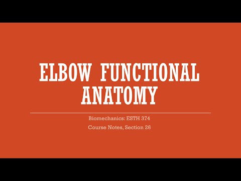 Elbow Functional Anatomy - Biomechanics