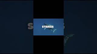 Growth Comes From Struggle #napoleonhill #motivation