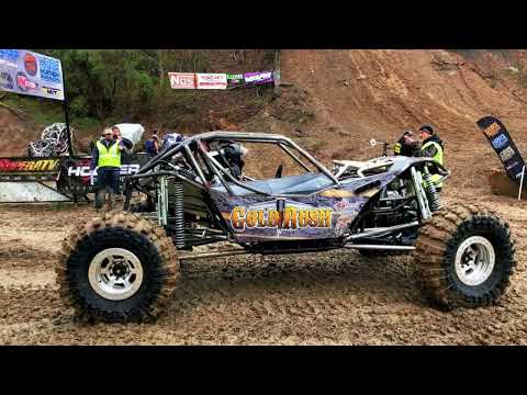 The day we all met Gold Rush