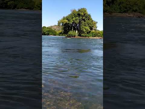 Rio Muriaé, próximo de Italva - RJ