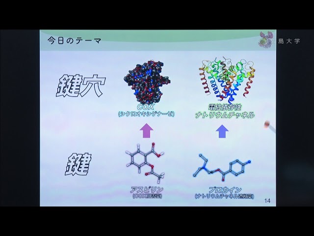 image-分子レベルで見る。薬はなぜ効くの？〜創薬化学者と鍵職人〜