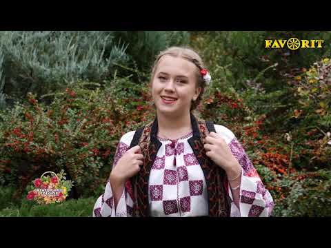 Madalina Borsan   In Brosteni in sat la mine