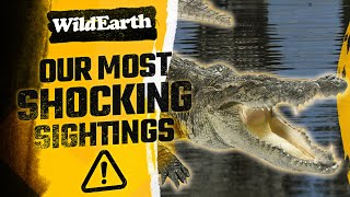 Our Most Shocking Sightings! You Need To See This! Expect The Unexpected!