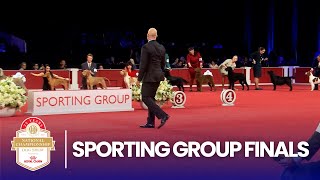 Sporting Group Finals | 2025 AKC National Championship Presented by Royal Canin