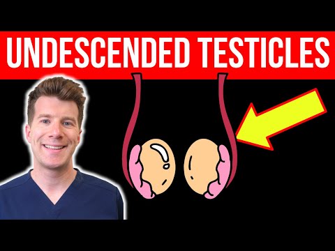 Doctor explains UNDESCENDED TESTICLES | Causes, symptoms, treatment
