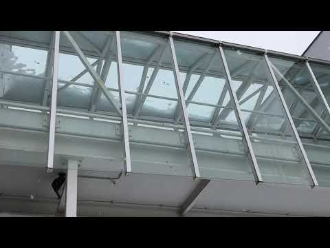 Hoyerswerda: Steinewerfer - LAUSITZWELLE