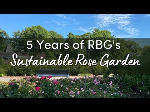 Royal Botanic Gardens: A Legacy of Horticultural Excellence