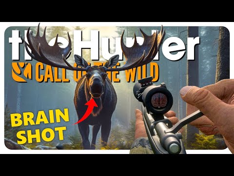 Mastering the ART of GETTING BRAIN: Moose Edition | TheHunter: Call of the Wild