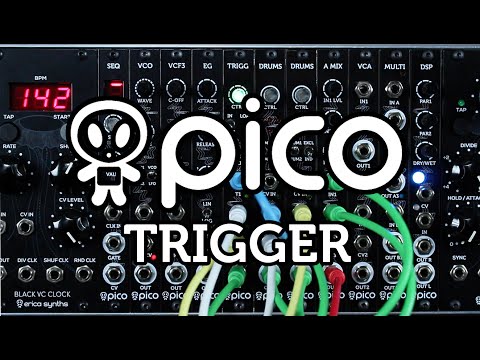 Erica Synths Pico Trigger image 2