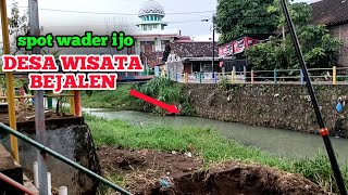 Download lagu SPOT ANDALAN DI DESA BEJALEN || MANCING WADER IJO DI SUNGAI || RAWA PENING AMBARAWA mp3 Download lagu SPOT ANDALAN DI DESA BEJALEN || MANCING WADER IJO DI SUNGAI || RAWA PENING AMBARAWA mp3