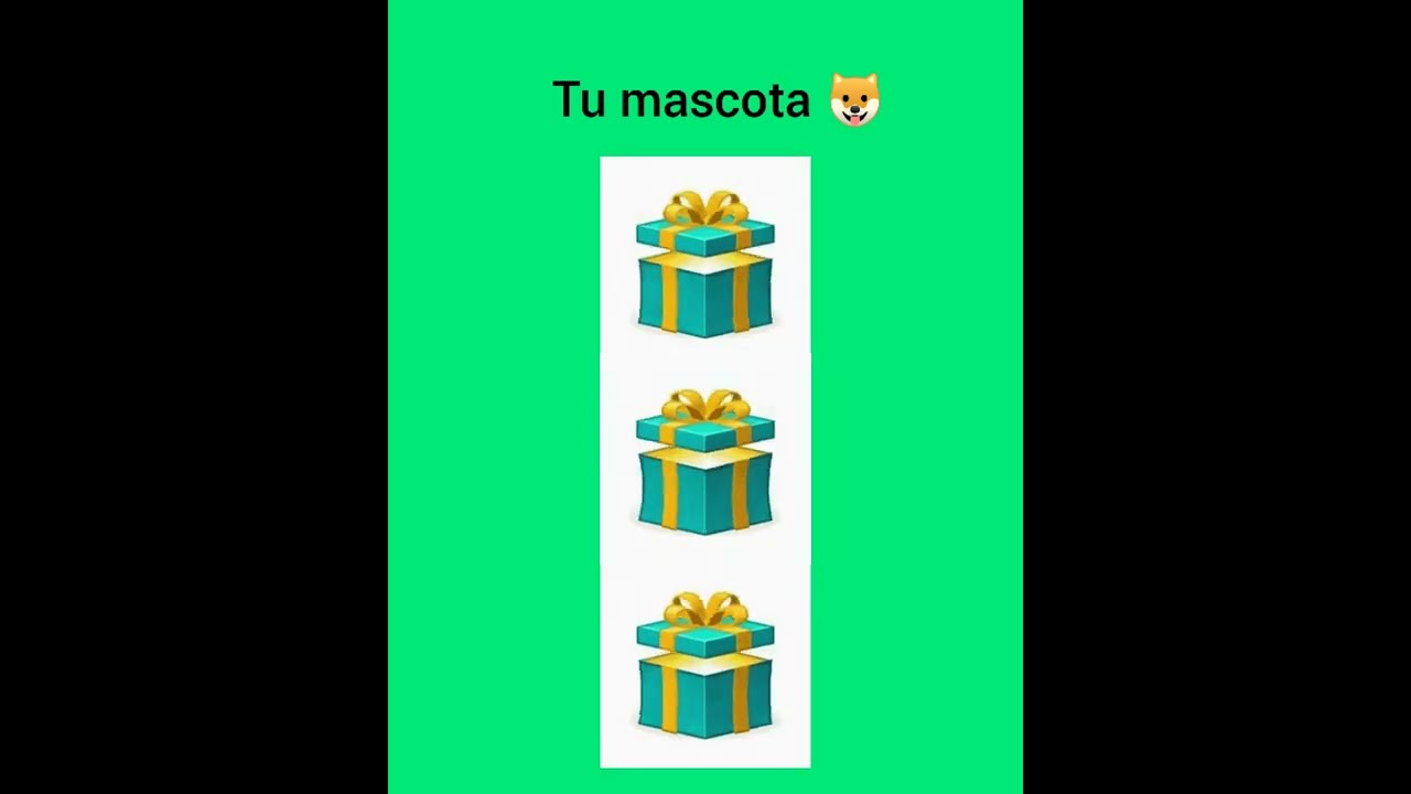 Watch Elige un regalo versión Dragon ball 😲 Now Elige un regalo versión Dragon ball 😲