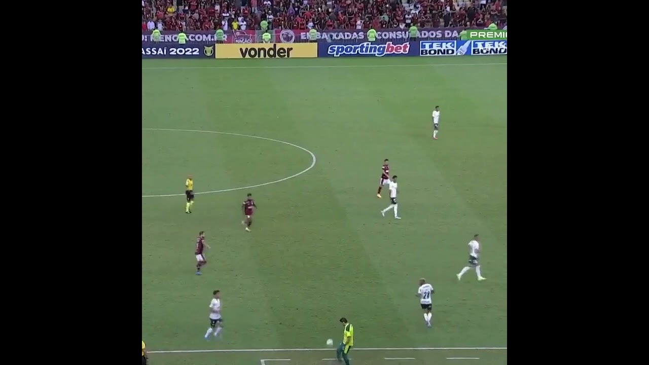 CABEÇA FRIA E CORAÇÃO QUENTE