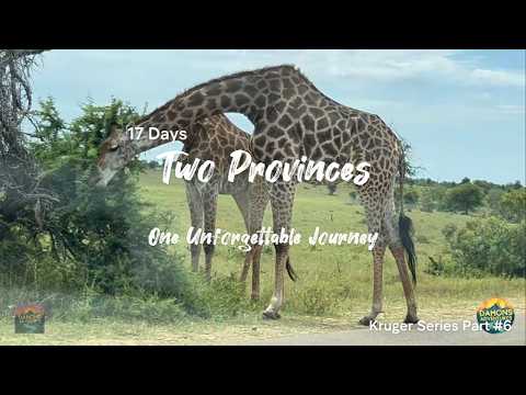 Kruger Series 2026 Part 6 - Satara & Orpen Kruger National Park