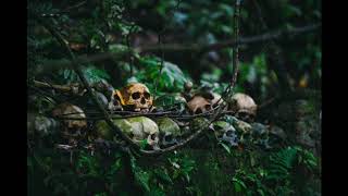 S 2 Ep 8 SLAVERY AND FREEDOM A conversation with Orlando Patterson