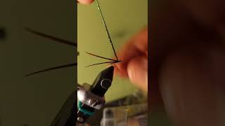 Tying A Turkey Feather Mayfly Nymph At 4x Speed In 4K #shorts