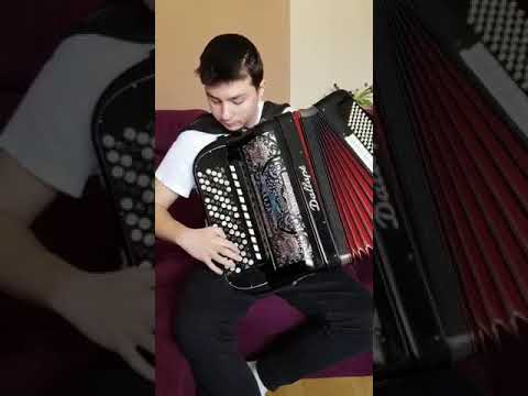 Skola harmonike Bojan Nesic, Ucenik Stefan Milosavljevic - Sumadijski biser kolo (Bojan Nesic)