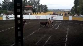 preview picture of video 'Charros de Temoaya, Estado de Mexico'